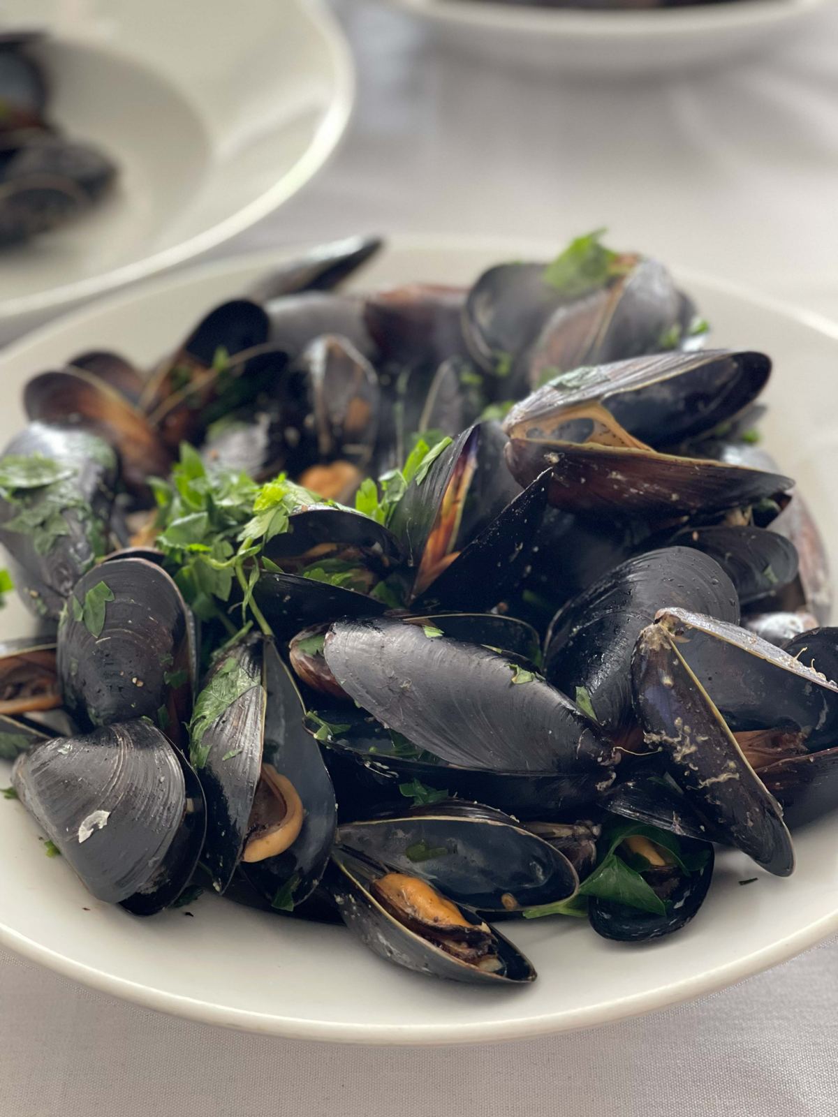 Mussels