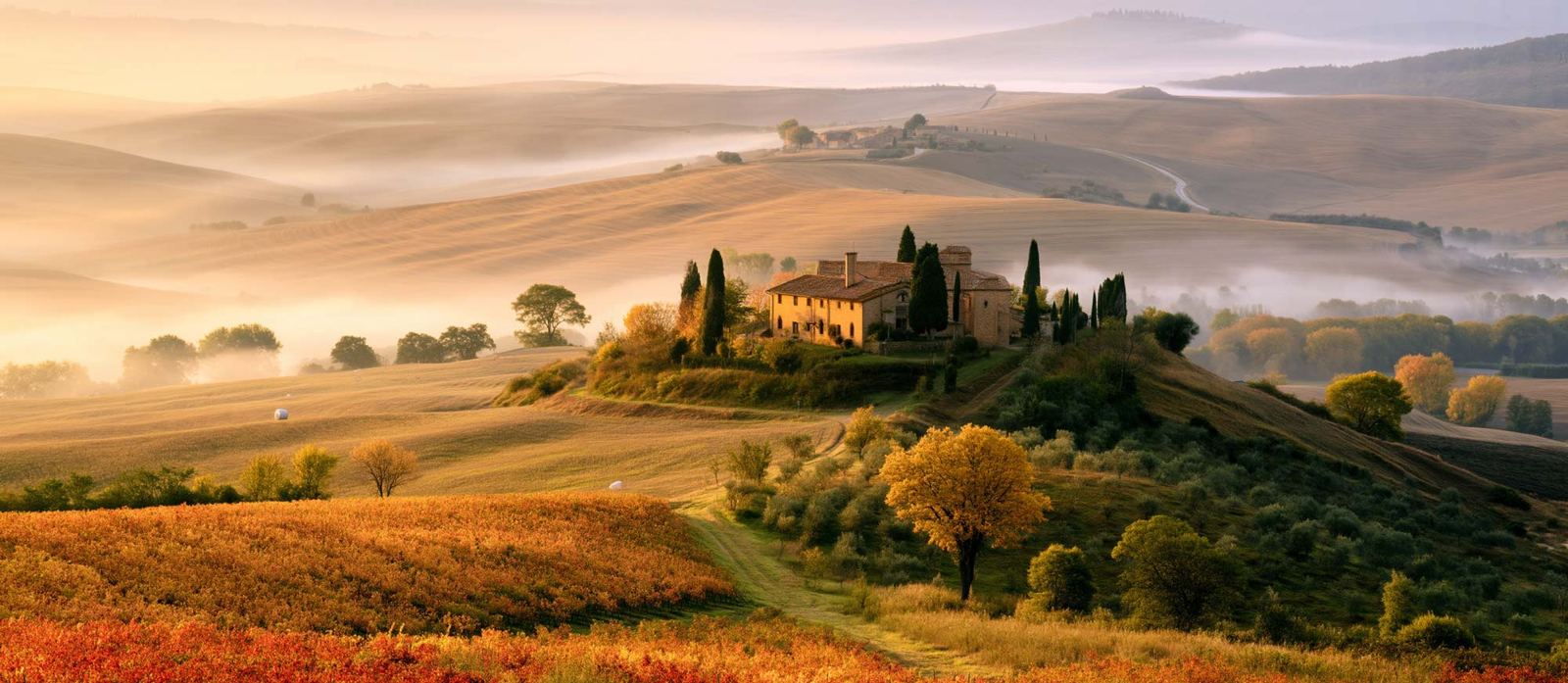 Misty countryside with rolling hills at dawn